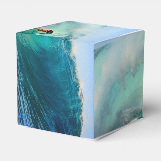 サーフィンウェーブライダーパーティーフェイスボックス フェイバーボックス (裏面サイド)