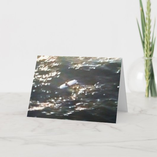 「サーフィンザシー」すべての行事カード カード (正面)