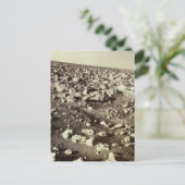 サーフェス火星 ポストカード (スタンド正面)