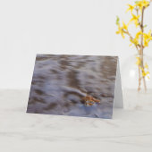 サーフグリーティングカードの貝殻 カード (黄色い花)