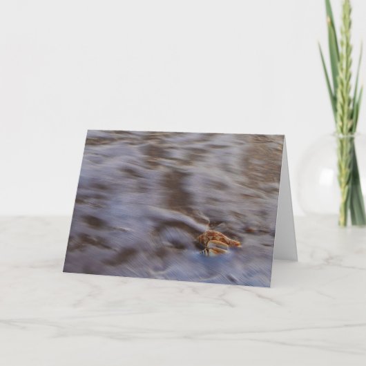 サーフグリーティングカードの貝殻 カード (正面)