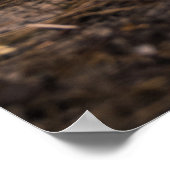 サーフスケーターのトレーニングサーフィン移動 ポスター (角)