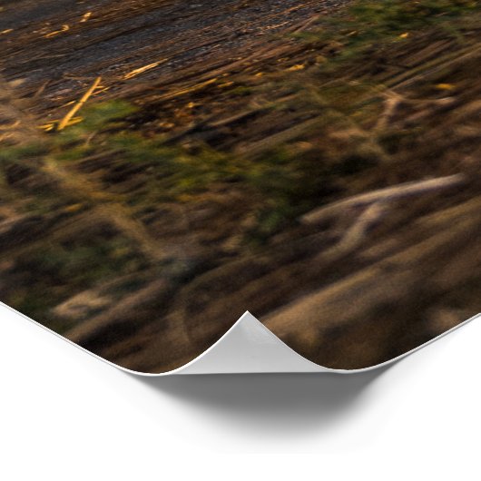 サーフスケーターのトレーニングサーフィン移動 ポスター (角)