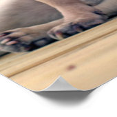 サーフパグ ポスター (角)