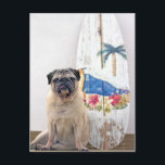 サーフパグ ポストカード<br><div class="desc">動物テーマ</div>