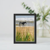 サーフホース ポストカード (スタンド正面)