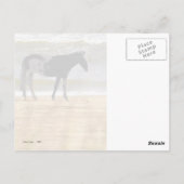 サーフホース ポストカード (裏面)