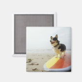 サーフボードの犬 マグネット (正面/裏面)