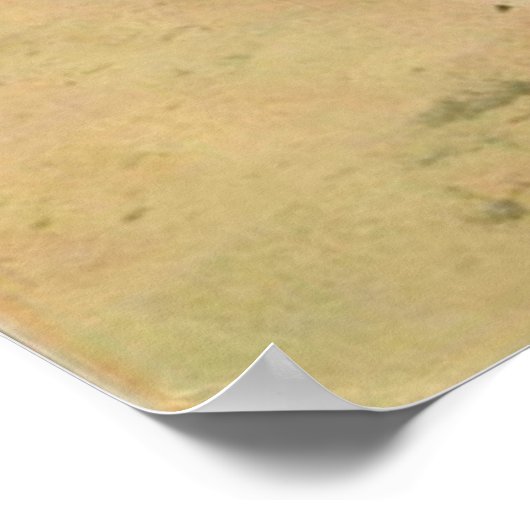 サーフ生まれトへ |かわいいヴィンテージサーフィンポスター ポスター (角)