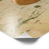 サーフ生まれトへ |かわいいヴィンテージサーフィン フォトプリント            (角)