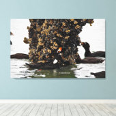 サーフ素晴らしスコーター食べ物を与えシーダックスの干潮時 キャンバスプリント (インサイチュ (ウッドフロア))