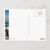 サーフ魚釣り ポストカード (裏面)