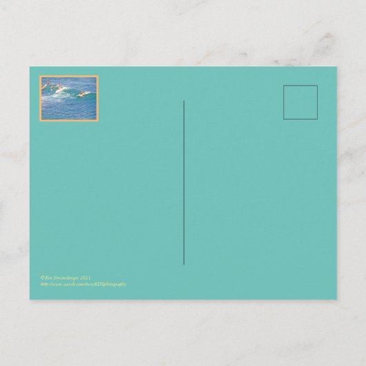 サーフ&サン少しおもしろいを!/ SURFERSはがき ポストカード (裏面)