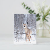 サーフ ポストカード (スタンド正面)