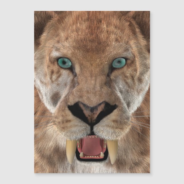 サーベル歯付きタイガーまたはスミロドン (正面)