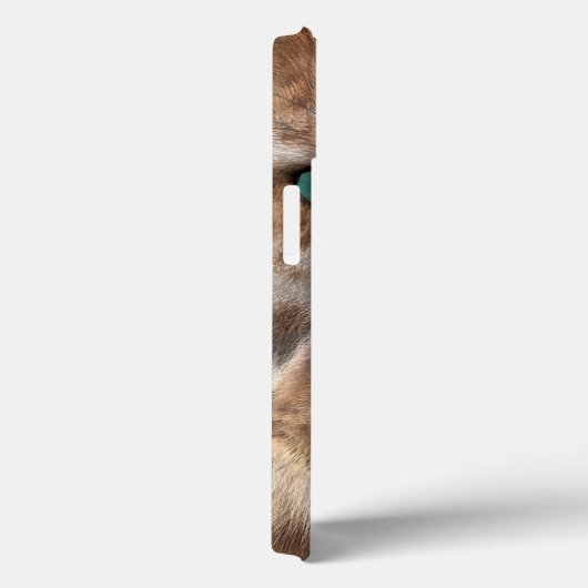 サーベル歯付きタイガーまたはスミロドン Case-Mate iPhoneケース (裏面 / 右)