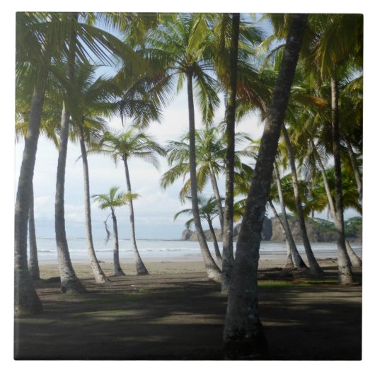 サーマラビーチ陶磁器タイル タイル (正面)