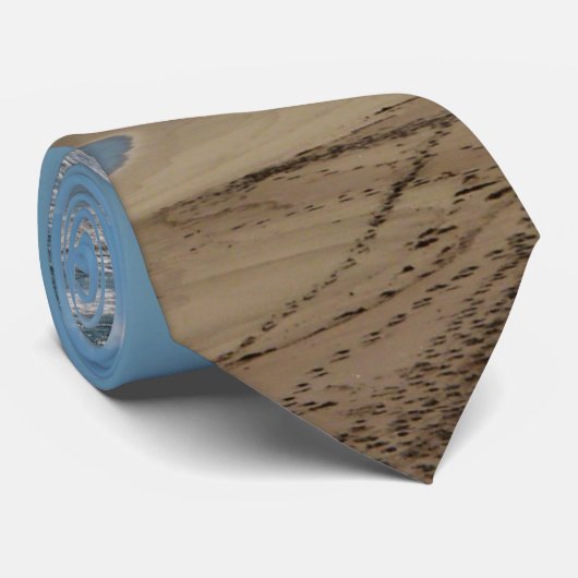 サーモンが住む海遊にあった ネクタイ (ロール)