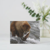 サーモンとクマ，ブルックス秋アラスカ ポストカード (スタンド正面)