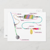 サーモンと塩水トローリングリグにフラッシャー ポストカード (正面/裏面)