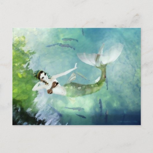 サーモンのはがきを使った水泳 ポストカード (正面)