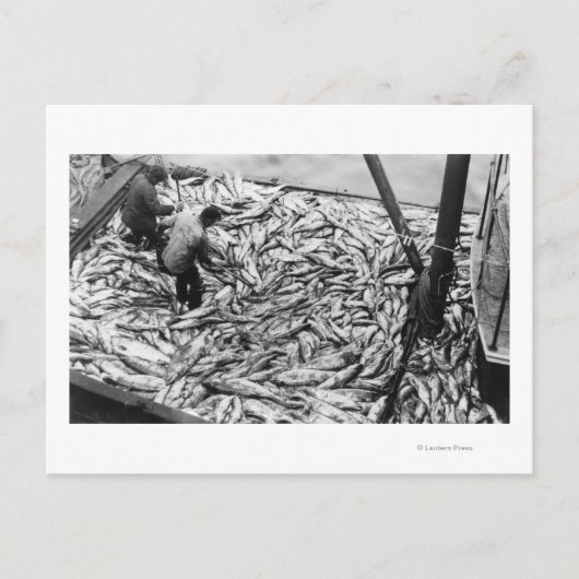 サーモンを魚釣り船から降ろす写真 ポストカード (正面)