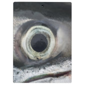 サーモンアイ クリップボード (裏面)