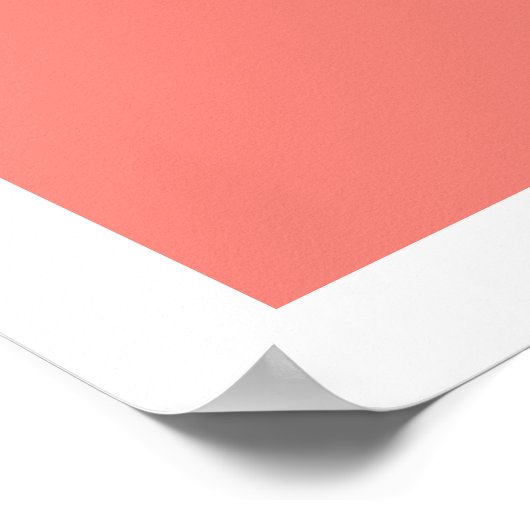 サーモンアジアムードマンダラ ポスター (角)