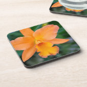 サーモンオーキッド コースター (左側)