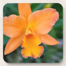 サーモンオーキッド コースター