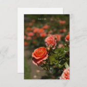 サーモンカラーバラ ノートカード (正面/裏面)