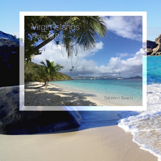 サーモンビーチパームズヴァージン諸島国立公園 ポストカード