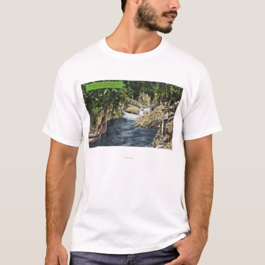 サーモンピンクのプールのCapilano渓谷の眺め Tシャツ (正面)