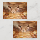 サーモンピンクのボアの名刺 名刺 (正面/裏面)