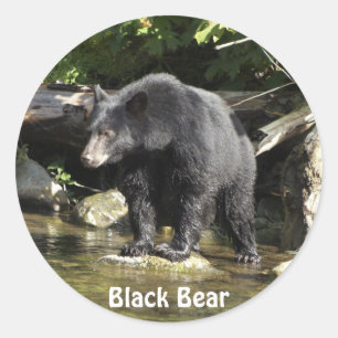 "サーモンピンクの偵察"のツキノワグマの野性生物のステッカー ラウンドシール
