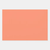 サーモンピンク無地の色 |クラシック |エレガント | ラッピングペーパーシート (正面2)