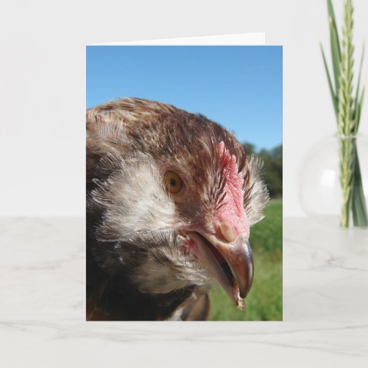 サーモンファヴェロレピュレット カード (正面)