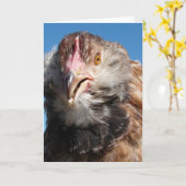 サーモンファヴェロレピュレット、誕生日 カード (黄色い花)