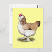 サーモンファヴェロレヘン ポストカード (正面/裏面)