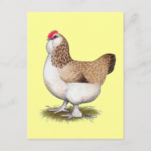 サーモンファヴェロレヘン ポストカード (正面)