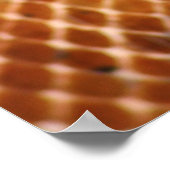 サーモンボアのポスター ポスター (角)