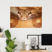 サーモンボアのポスター ポスター (ホームオフィス)