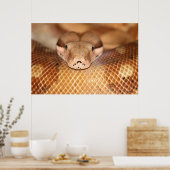 サーモンボアのポスター ポスター (キッチン)