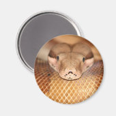 サーモンボア磁石 マグネット (正面/裏面)