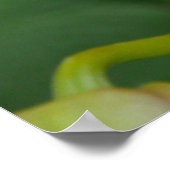 サーモンラン ポスター (角)