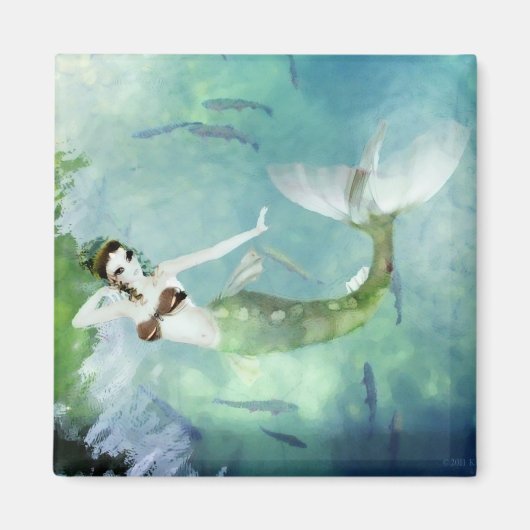 サーモン磁石で泳ぐ マグネット (正面)