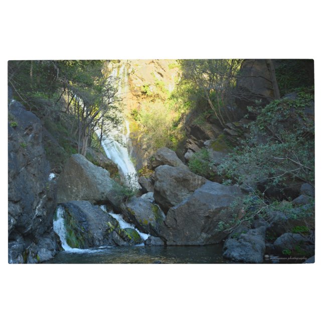 サーモン秋 メタルプリント (正面)