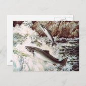 サーモン走葉書 ポストカード (正面/裏面)