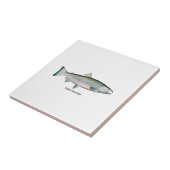 サーモン銀(海相) タイル (側面)