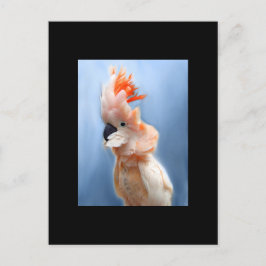 サーモンCrested Cockatoo ACEOアートトレーディングカード ポストカード